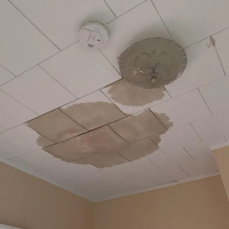 Ceiling Water Damage Repair in Dike, IA