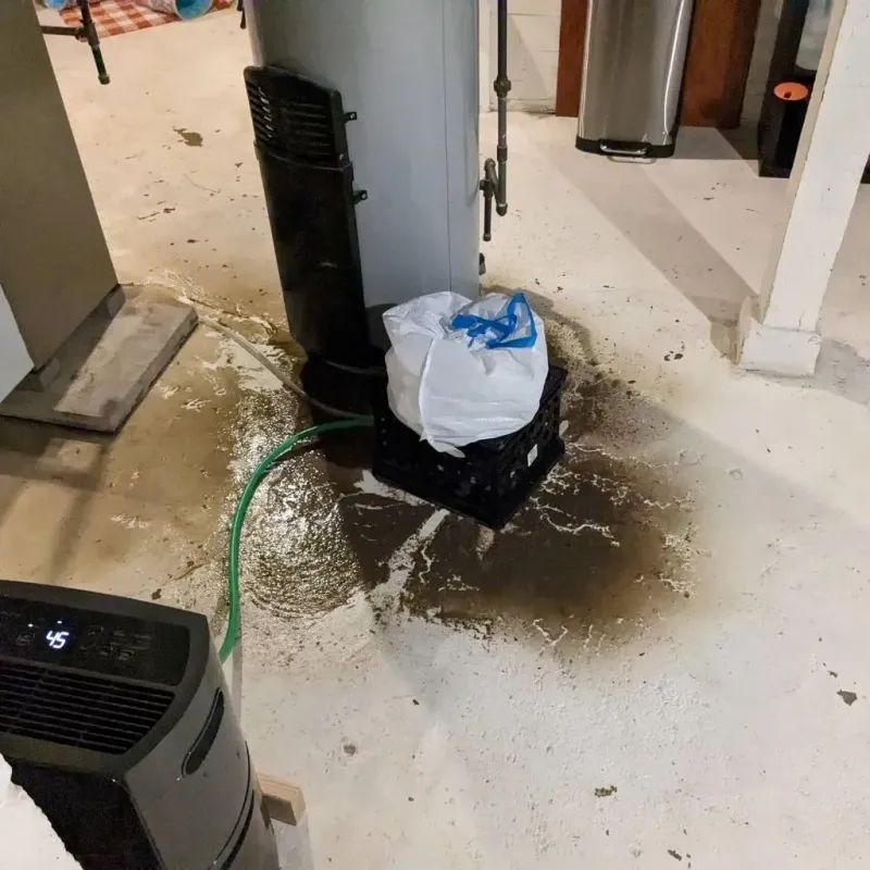 Sewage Backup Cleanup Service in Dike, IA